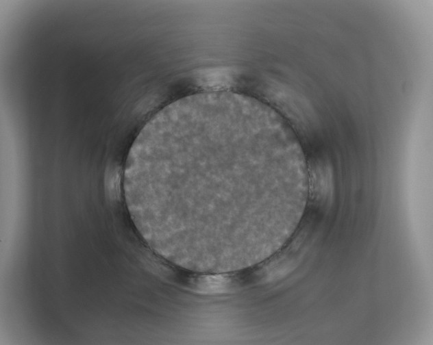 X0000111120717200908111019
