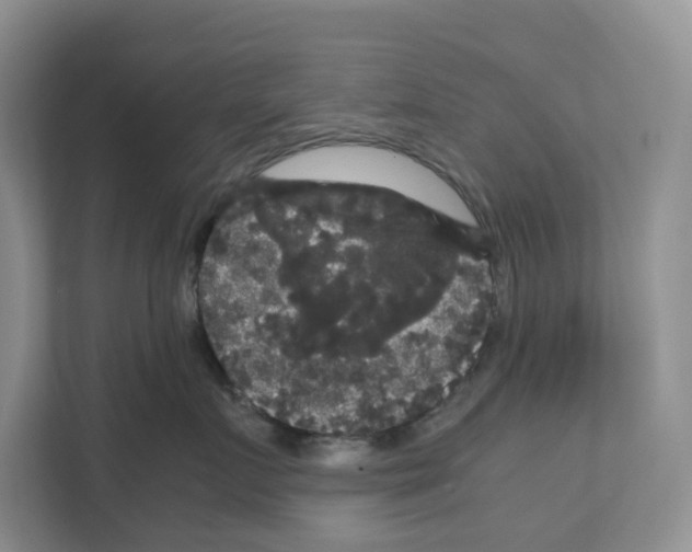 X0000111120719200908111019