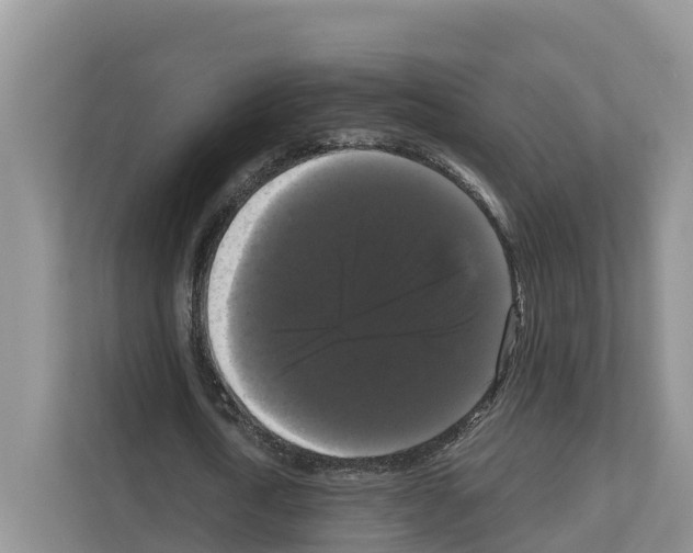 X0000111120722200908111018