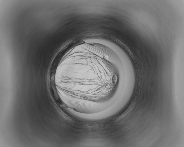 X0000111120725200908111018