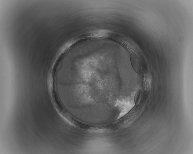 X0000111120726200908111018