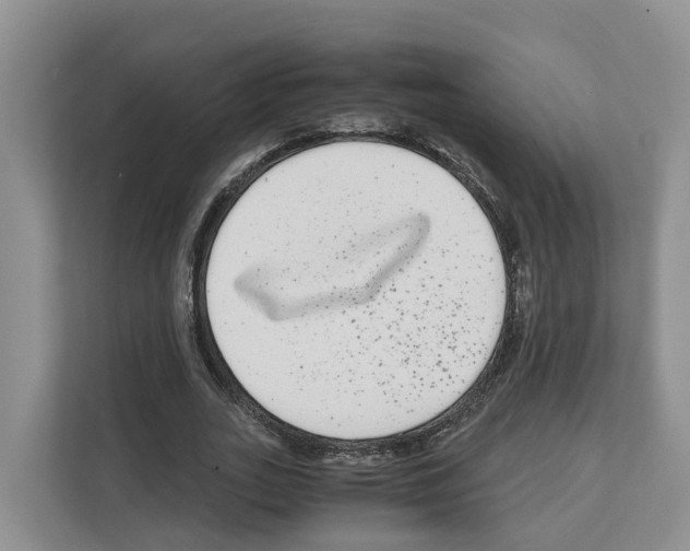 X0000111120727200908111018
