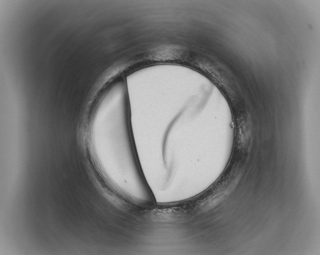 X0000111120728200908111018