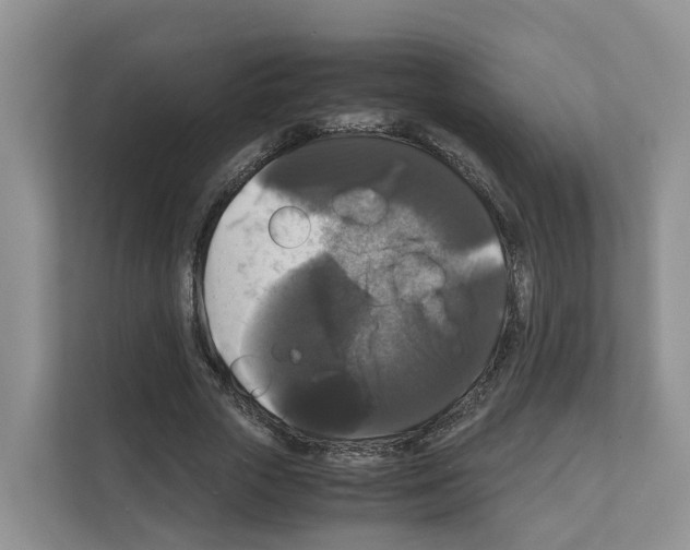 X0000111120729200908111018