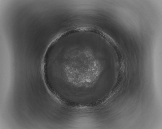 X0000111120730200908111018