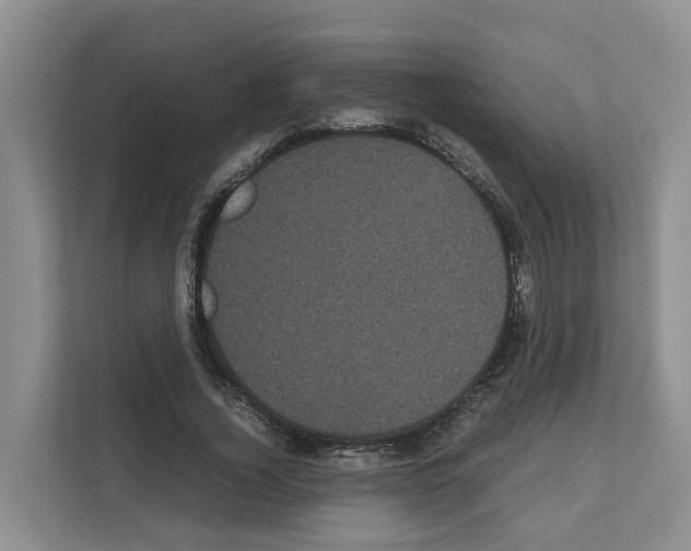 X0000111120732200908111018