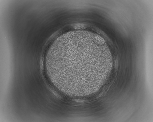 X0000111120733200908111018
