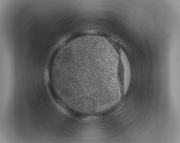 X0000111120734200908111018