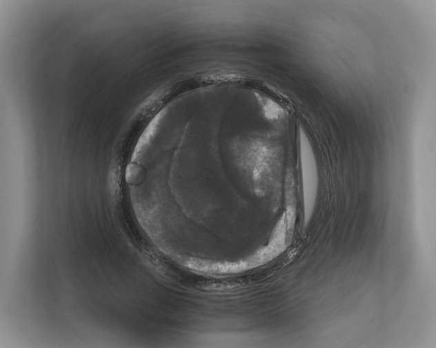 X0000111120735200908111018