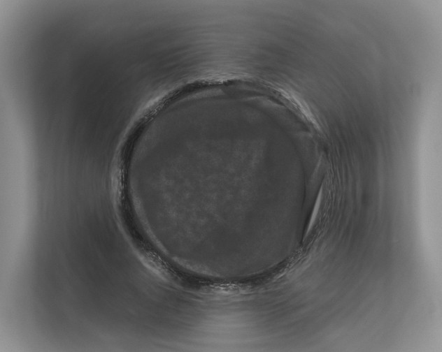 X0000111120736200908111018