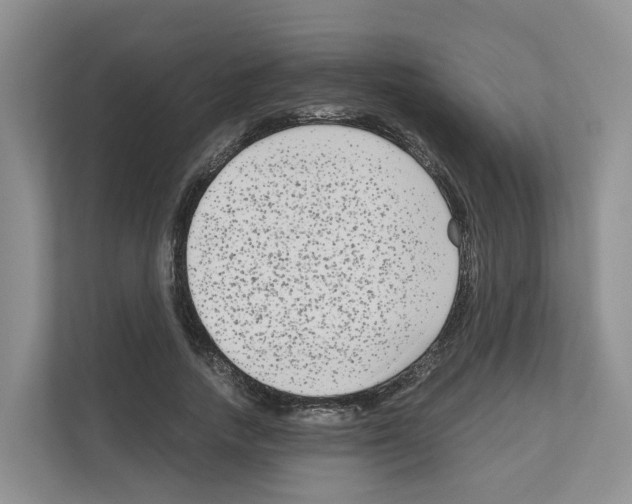 X0000111120738200908111018