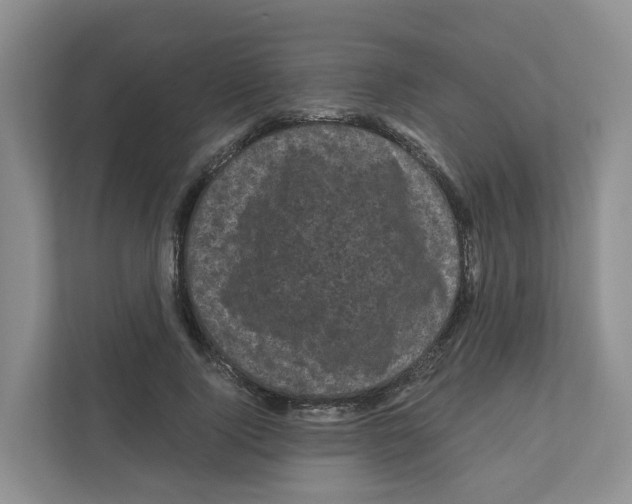 X0000111120740200908111018