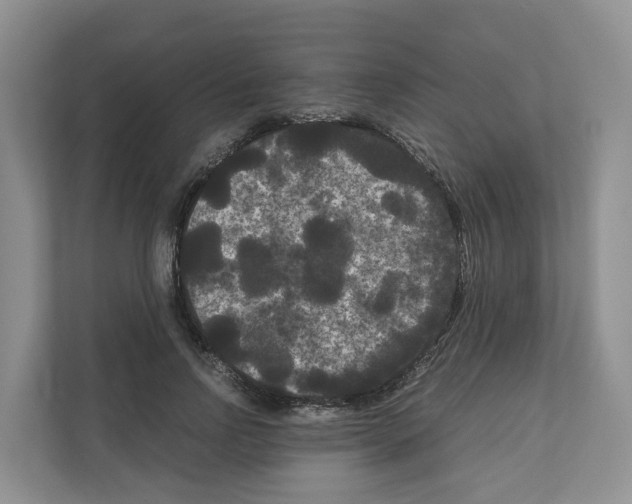 X0000111120742200908111018