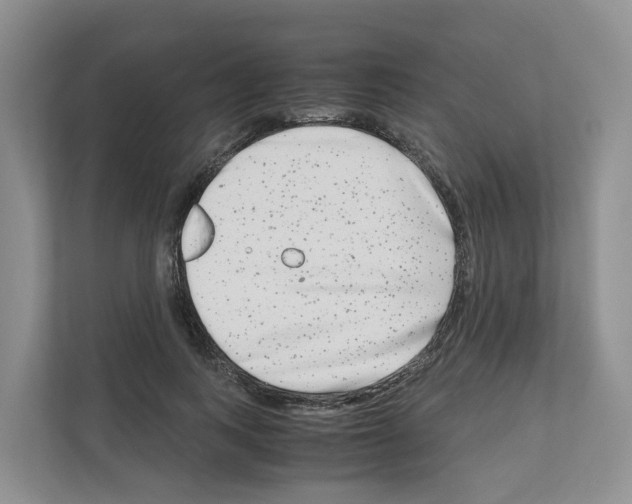 X0000111120743200908111018