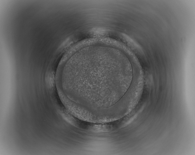 X0000111120744200908111018