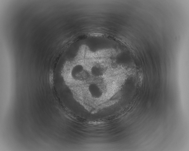 X0000111120745200908111018
