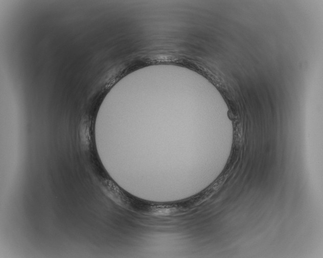 X0000111120746200908111018