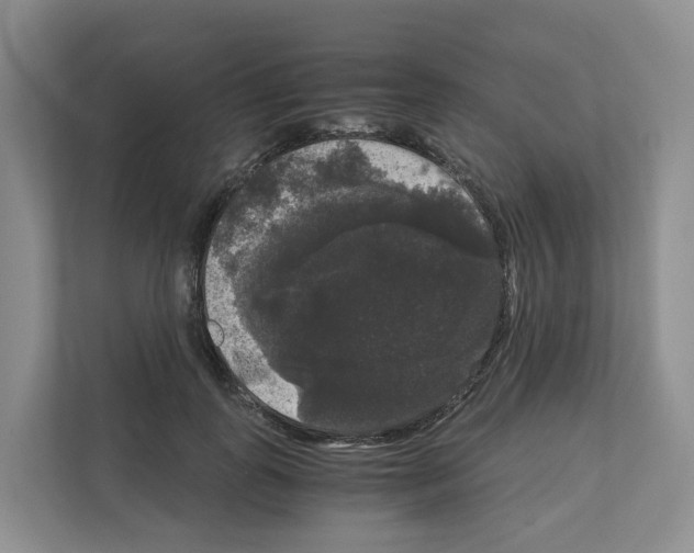 X0000111120747200908111018