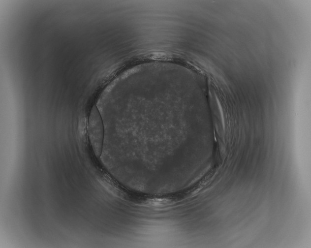 X0000111120748200908111018