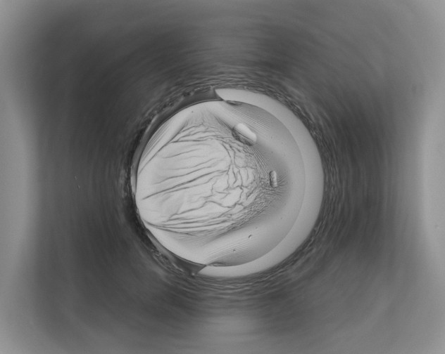 X0000111120750200908111019