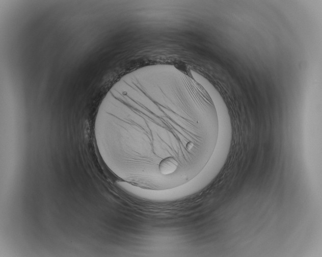 X0000111120752200908111019