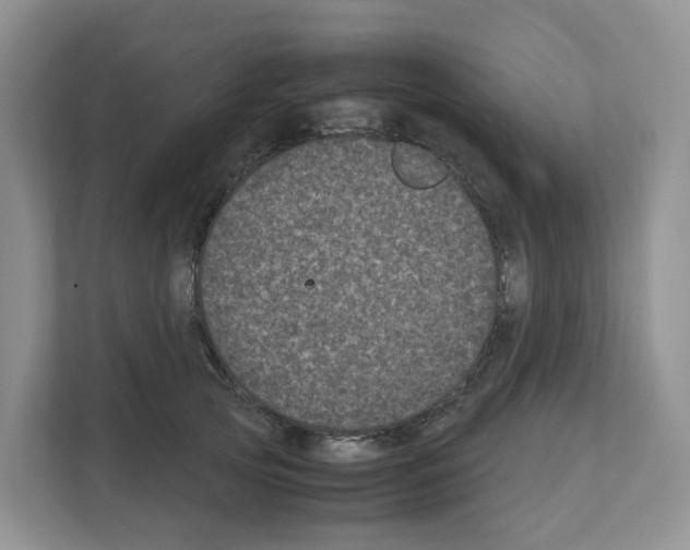 X0000111120753200908111019