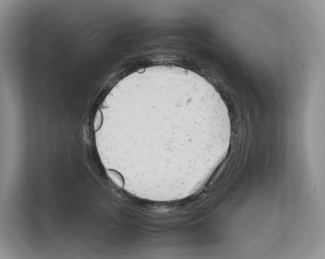 X0000111120755200908111019