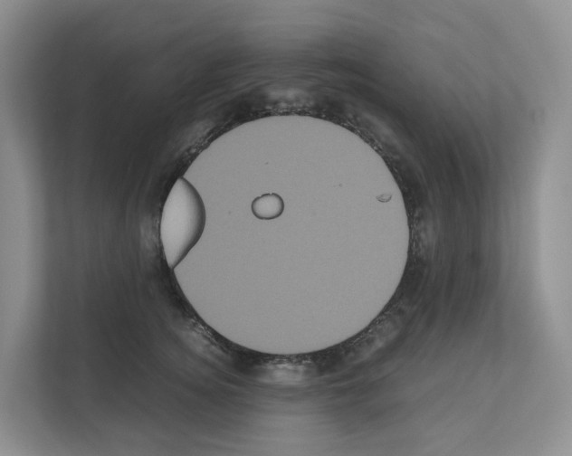 X0000111120756200908111019