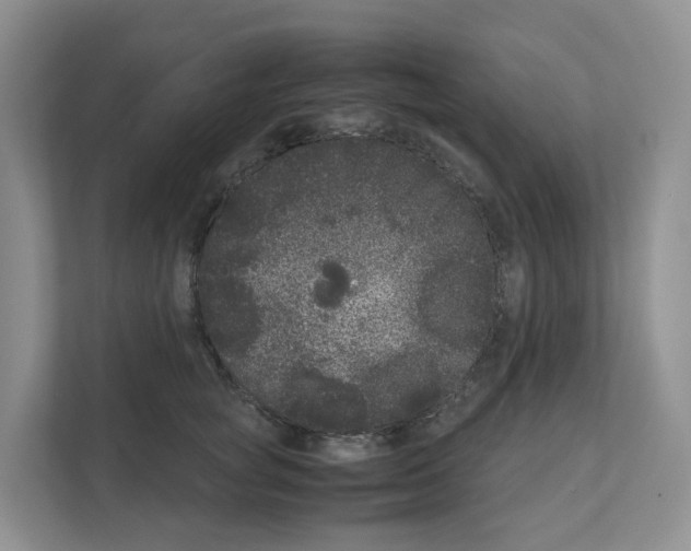 X0000111120757200908111019