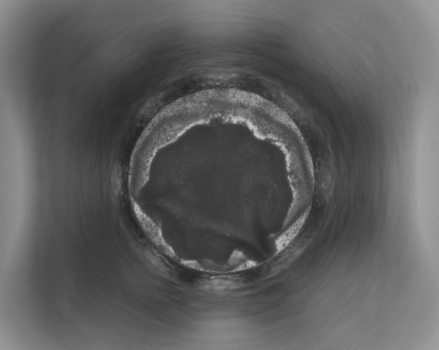 X0000111120758200908111019