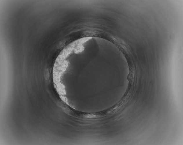 X0000111120759200908111019