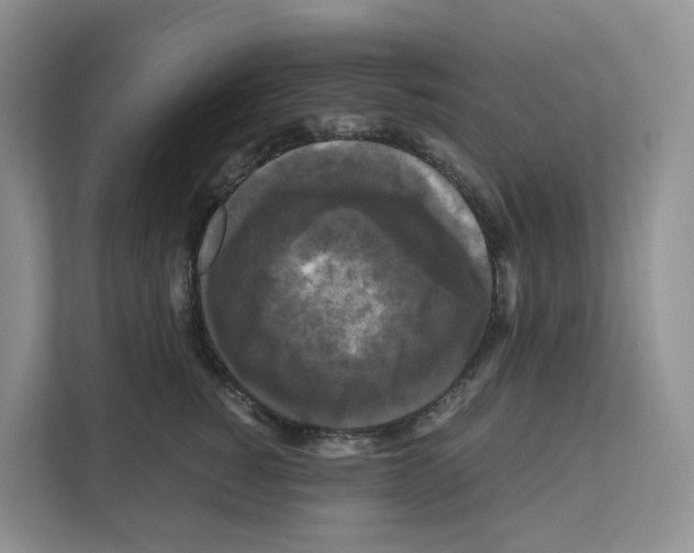 X0000111120760200908111019