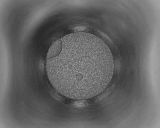 X0000111120761200908111019