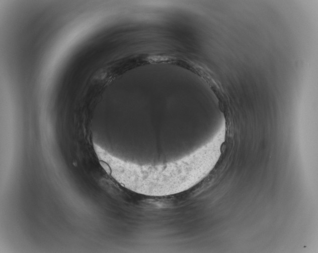 X0000111120763200908111019