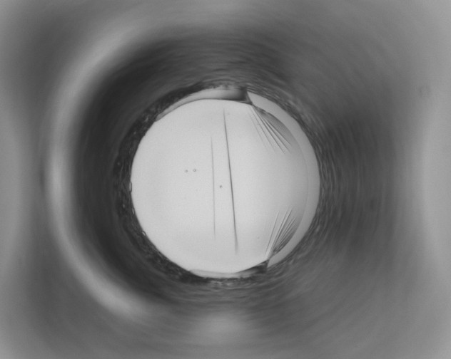 X0000111120764200908111019