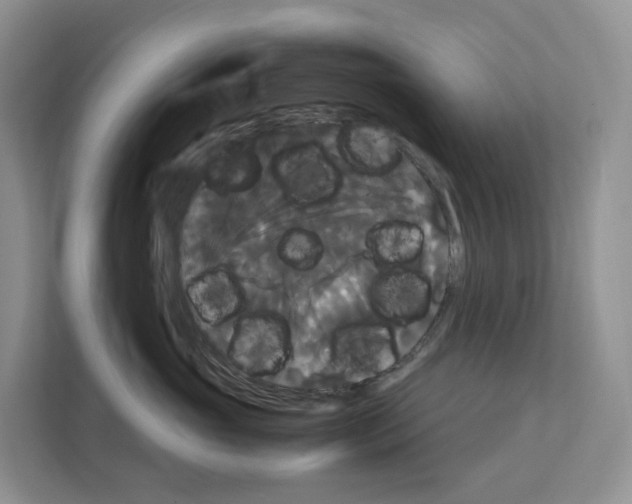 X0000111120765200908111019