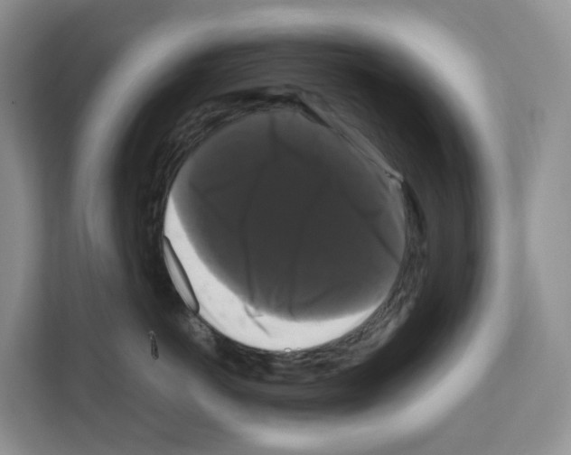 X0000111120766200908111019