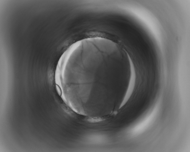 X0000111120767200908111019