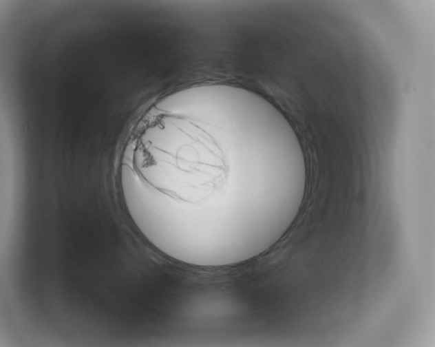 X0000111120768200908111019