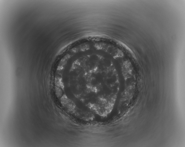 X0000111120775200908111018