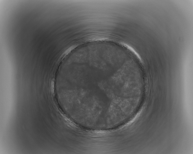 X0000111120777200908111018