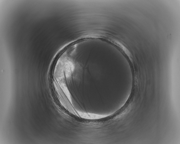 X0000111120779200908111018