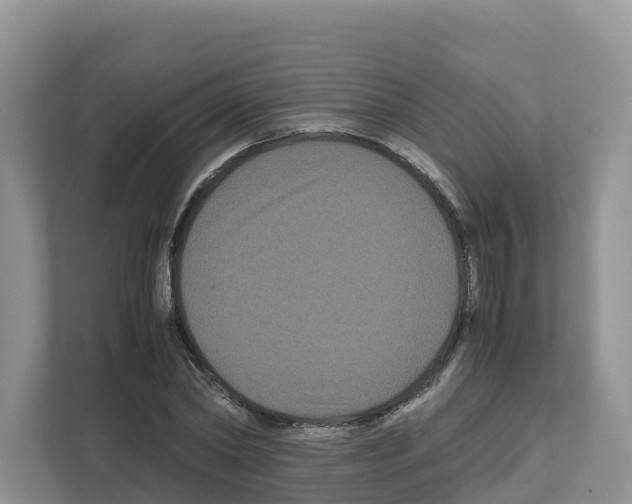 X0000111120782200908111018