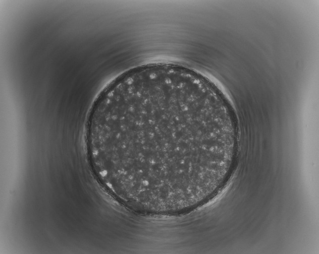 X0000111120783200908111018
