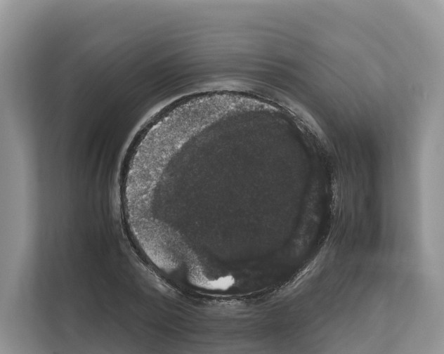 X0000111120784200908111018