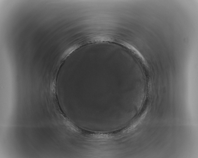 X0000111120785200908111018