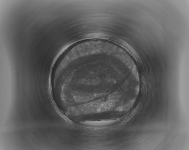 X0000111120788200908111018