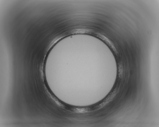 X0000111120794200908111018