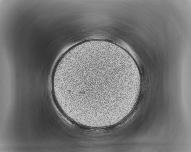 X0000111120795200908111018