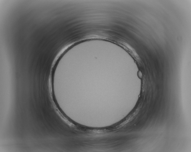 X0000111120796200908111018